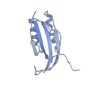 26635_7unw_f_v1-0
Pseudomonas aeruginosa 70S ribosome initiation complex bound to IF2-GDPCP (structure II-B)