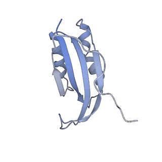 26635_7unw_f_v1-1
Pseudomonas aeruginosa 70S ribosome initiation complex bound to IF2-GDPCP (structure II-B)