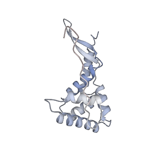 26635_7unw_g_v1-0
Pseudomonas aeruginosa 70S ribosome initiation complex bound to IF2-GDPCP (structure II-B)