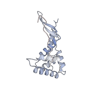 26635_7unw_g_v1-1
Pseudomonas aeruginosa 70S ribosome initiation complex bound to IF2-GDPCP (structure II-B)