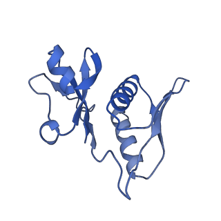 26635_7unw_h_v1-0
Pseudomonas aeruginosa 70S ribosome initiation complex bound to IF2-GDPCP (structure II-B)