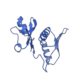 26635_7unw_h_v1-1
Pseudomonas aeruginosa 70S ribosome initiation complex bound to IF2-GDPCP (structure II-B)