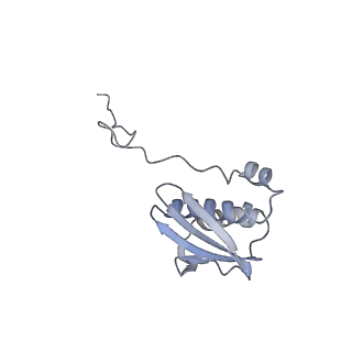 26635_7unw_i_v1-0
Pseudomonas aeruginosa 70S ribosome initiation complex bound to IF2-GDPCP (structure II-B)