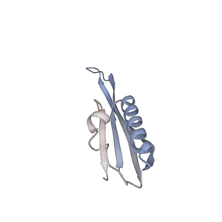 26635_7unw_j_v1-0
Pseudomonas aeruginosa 70S ribosome initiation complex bound to IF2-GDPCP (structure II-B)