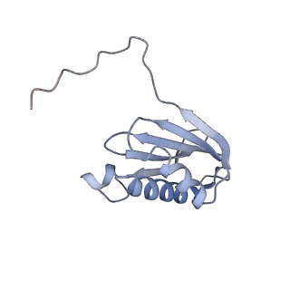 26635_7unw_k_v1-0
Pseudomonas aeruginosa 70S ribosome initiation complex bound to IF2-GDPCP (structure II-B)