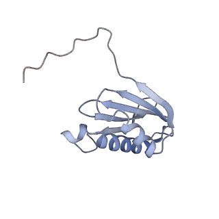 26635_7unw_k_v1-1
Pseudomonas aeruginosa 70S ribosome initiation complex bound to IF2-GDPCP (structure II-B)