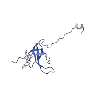 26635_7unw_l_v1-0
Pseudomonas aeruginosa 70S ribosome initiation complex bound to IF2-GDPCP (structure II-B)