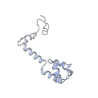 26635_7unw_m_v1-1
Pseudomonas aeruginosa 70S ribosome initiation complex bound to IF2-GDPCP (structure II-B)