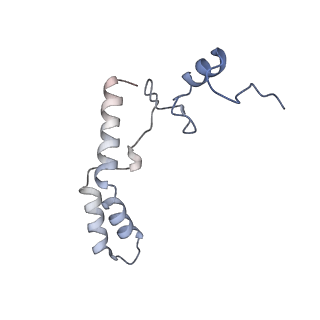 26635_7unw_n_v1-0
Pseudomonas aeruginosa 70S ribosome initiation complex bound to IF2-GDPCP (structure II-B)
