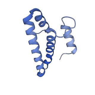 26635_7unw_o_v1-1
Pseudomonas aeruginosa 70S ribosome initiation complex bound to IF2-GDPCP (structure II-B)