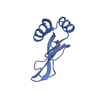 26635_7unw_p_v1-0
Pseudomonas aeruginosa 70S ribosome initiation complex bound to IF2-GDPCP (structure II-B)