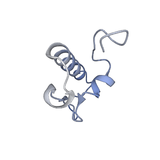 26635_7unw_r_v1-0
Pseudomonas aeruginosa 70S ribosome initiation complex bound to IF2-GDPCP (structure II-B)