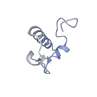 26635_7unw_r_v1-1
Pseudomonas aeruginosa 70S ribosome initiation complex bound to IF2-GDPCP (structure II-B)