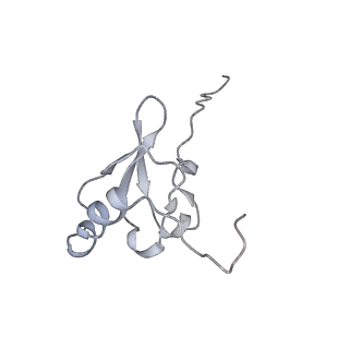 26635_7unw_s_v1-0
Pseudomonas aeruginosa 70S ribosome initiation complex bound to IF2-GDPCP (structure II-B)