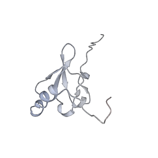 26635_7unw_s_v1-1
Pseudomonas aeruginosa 70S ribosome initiation complex bound to IF2-GDPCP (structure II-B)