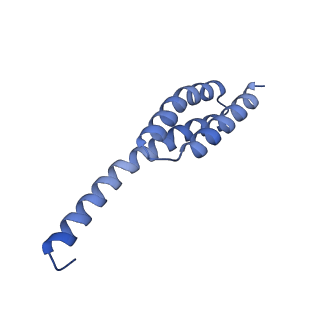 26635_7unw_t_v1-1
Pseudomonas aeruginosa 70S ribosome initiation complex bound to IF2-GDPCP (structure II-B)