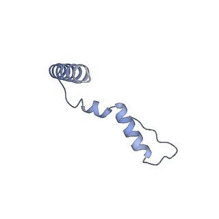 26635_7unw_u_v1-0
Pseudomonas aeruginosa 70S ribosome initiation complex bound to IF2-GDPCP (structure II-B)