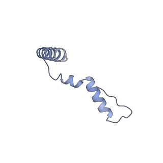 26635_7unw_u_v1-1
Pseudomonas aeruginosa 70S ribosome initiation complex bound to IF2-GDPCP (structure II-B)