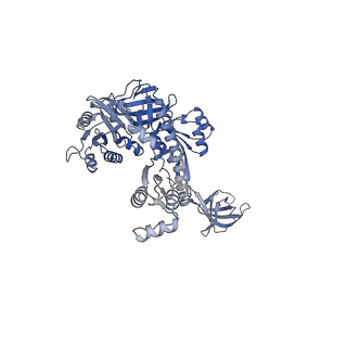 26635_7unw_x_v1-0
Pseudomonas aeruginosa 70S ribosome initiation complex bound to IF2-GDPCP (structure II-B)