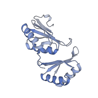 42390_8un1_L_v1-0
T33-ml23 Assembly Intermediate - Designed Tetrahedral Protein Cage Using Machine Learning Algorithms