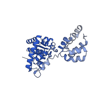 42399_8unf_D_v1-2
Cryo-EM structure of T4 Bacteriophage Clamp Loader with Sliding Clamp and DNA