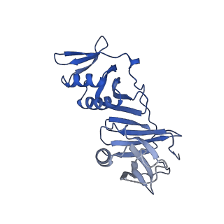 42399_8unf_F_v1-2
Cryo-EM structure of T4 Bacteriophage Clamp Loader with Sliding Clamp and DNA