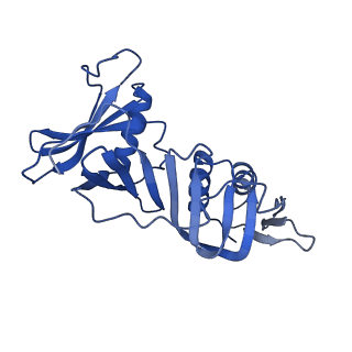 42399_8unf_H_v1-2
Cryo-EM structure of T4 Bacteriophage Clamp Loader with Sliding Clamp and DNA