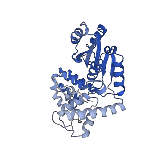 42402_8unh_B_v1-2
Cryo-EM structure of T4 Bacteriophage Clamp Loader with Sliding Clamp