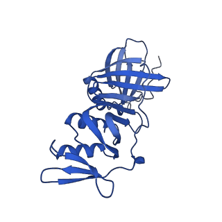 42402_8unh_F_v1-2
Cryo-EM structure of T4 Bacteriophage Clamp Loader with Sliding Clamp
