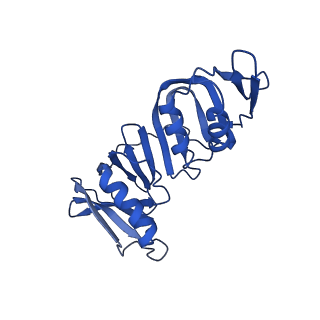 42402_8unh_H_v1-2
Cryo-EM structure of T4 Bacteriophage Clamp Loader with Sliding Clamp