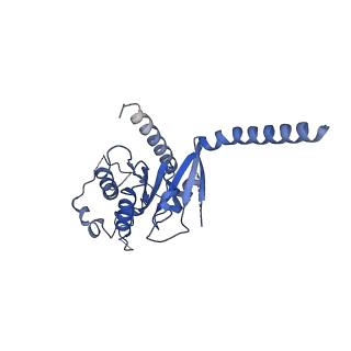 42408_8unl_A_v1-2
CryoEM structure of beta-2-adrenergic receptor in complex with GTP-bound Gs heterotrimer (Class A)