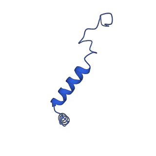 42408_8unl_G_v1-2
CryoEM structure of beta-2-adrenergic receptor in complex with GTP-bound Gs heterotrimer (Class A)