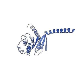 42409_8unm_A_v1-2
CryoEM structure of beta-2-adrenergic receptor in complex with GTP-bound Gs heterotrimer (Class B)