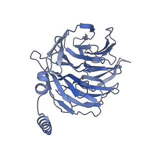 42409_8unm_B_v1-2
CryoEM structure of beta-2-adrenergic receptor in complex with GTP-bound Gs heterotrimer (Class B)