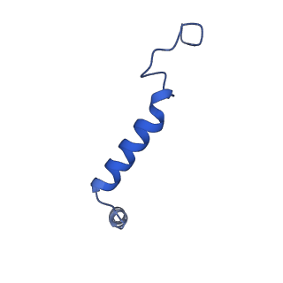 42409_8unm_G_v1-2
CryoEM structure of beta-2-adrenergic receptor in complex with GTP-bound Gs heterotrimer (Class B)