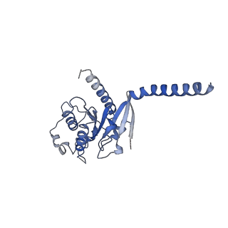 42410_8unn_A_v1-2
CryoEM structure of beta-2-adrenergic receptor in complex with GTP-bound Gs heterotrimer (Class C)