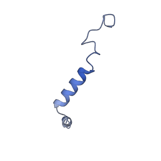 42410_8unn_G_v1-2
CryoEM structure of beta-2-adrenergic receptor in complex with GTP-bound Gs heterotrimer (Class C)