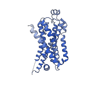 42410_8unn_R_v1-2
CryoEM structure of beta-2-adrenergic receptor in complex with GTP-bound Gs heterotrimer (Class C)