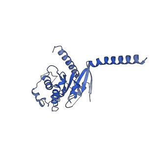 42411_8uno_A_v1-2
CryoEM structure of beta-2-adrenergic receptor in complex with GTP-bound Gs heterotrimer (Class D)