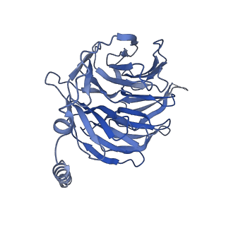 42411_8uno_B_v1-2
CryoEM structure of beta-2-adrenergic receptor in complex with GTP-bound Gs heterotrimer (Class D)