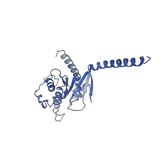 42412_8unp_A_v1-2
CryoEM structure of beta-2-adrenergic receptor in complex with GTP-bound Gs heterotrimer (Class E)