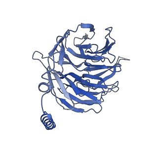 42412_8unp_B_v1-2
CryoEM structure of beta-2-adrenergic receptor in complex with GTP-bound Gs heterotrimer (Class E)