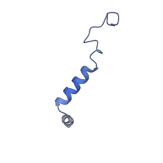 42413_8unq_G_v1-1
CryoEM structure of beta-2-adrenergic receptor in complex with GTP-bound Gs heterotrimer (Class F)