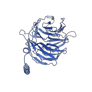 42414_8unr_B_v1-1
CryoEM structure of beta-2-adrenergic receptor in complex with GTP-bound Gs heterotrimer (Class G)