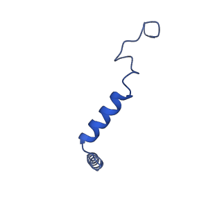 42415_8uns_G_v1-1
CryoEM structure of beta-2-adrenergic receptor in complex with GTP-bound Gs heterotrimer (Class H)