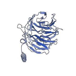 42416_8unt_B_v1-1
CryoEM structure of beta-2-adrenergic receptor in complex with GTP-bound Gs heterotrimer (Class I)