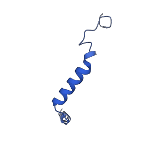 42416_8unt_G_v1-1
CryoEM structure of beta-2-adrenergic receptor in complex with GTP-bound Gs heterotrimer (Class I)