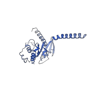 42417_8unu_A_v1-1
CryoEM structure of beta-2-adrenergic receptor in complex with GTP-bound Gs heterotrimer (Class J)