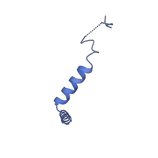 42417_8unu_G_v1-1
CryoEM structure of beta-2-adrenergic receptor in complex with GTP-bound Gs heterotrimer (Class J)