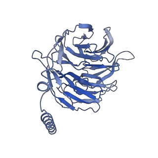 42418_8unv_B_v1-2
CryoEM structure of beta-2-adrenergic receptor in complex with GTP-bound Gs heterotrimer (Class K)